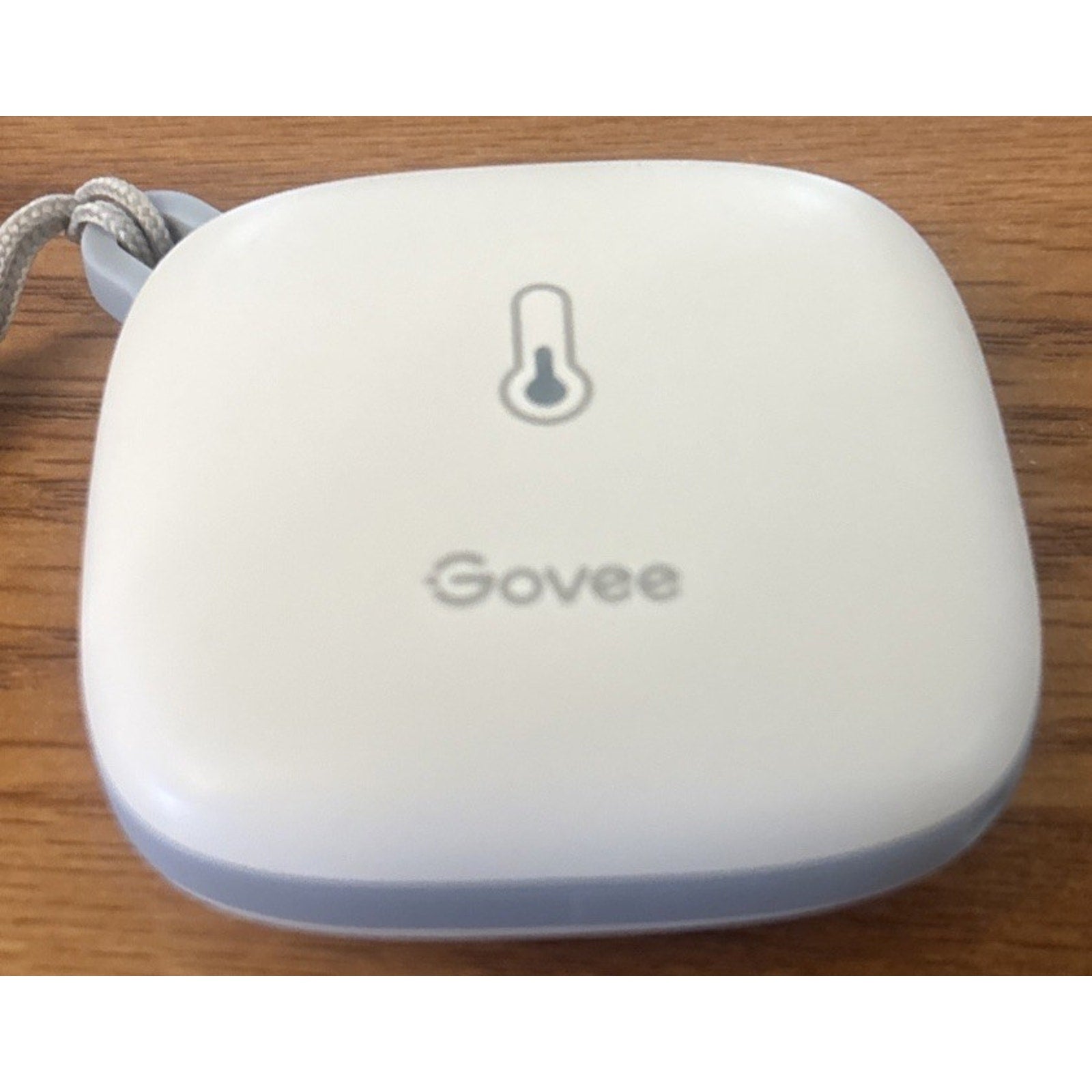 Govee Wi-Fi Thermo Hygrometer H5179 with APP Notifications