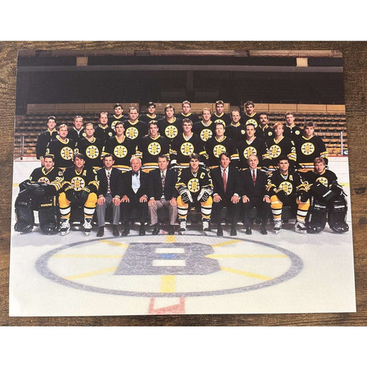 NHL Boston Bruins 1993-94 Team #50 Game Sport Action Color 8x10 Photo Picture