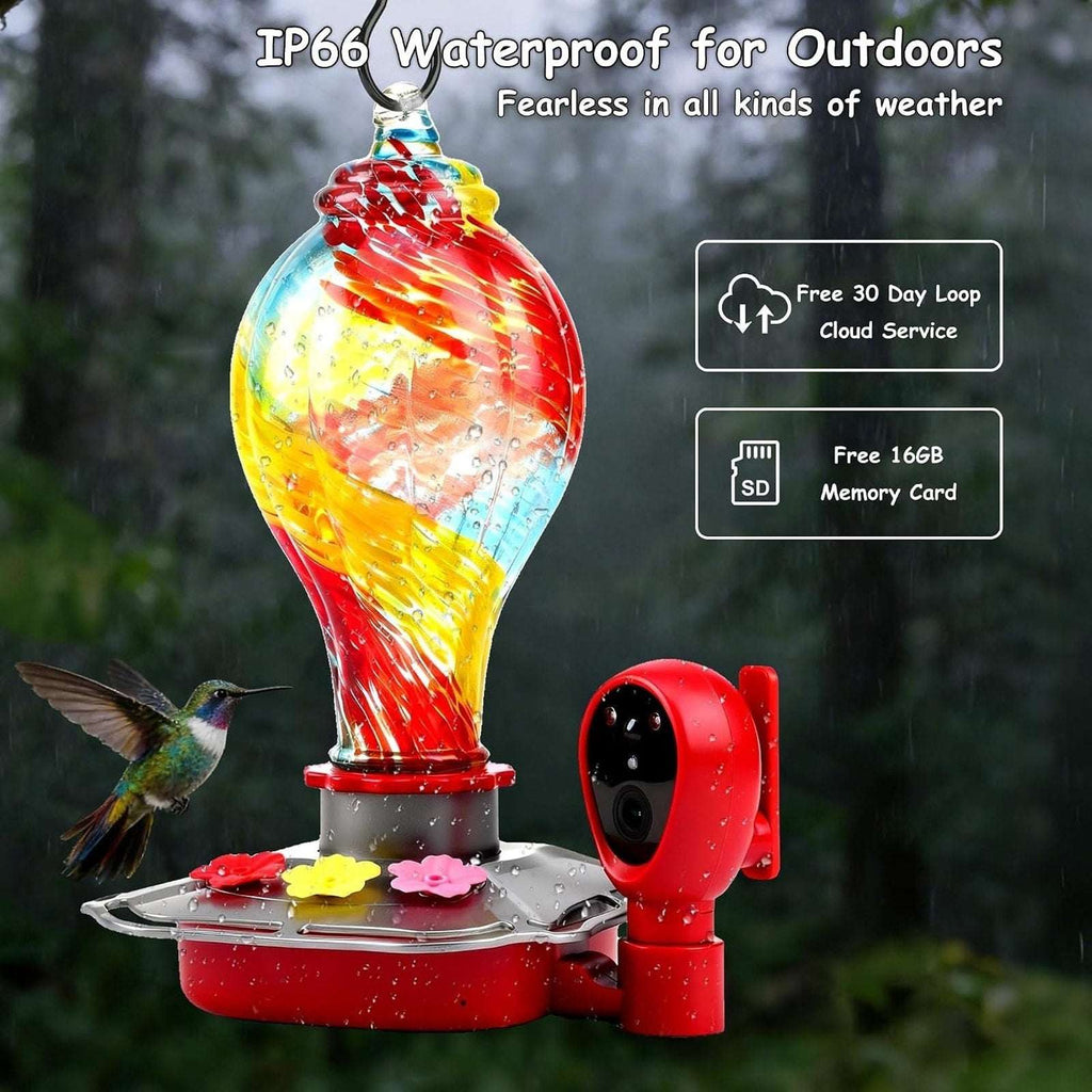Glass Smart Solar Powered Hummingbird Feeder w/ Camera 2K HD Live View, AI ID