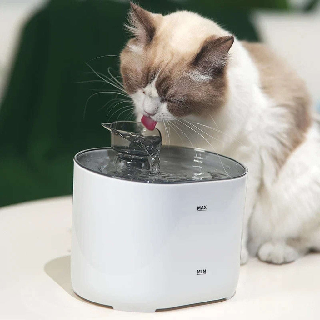 2.2L/74oz Automatic Pet Drinking Fountain Circulating Water Dispenser Cat Dog
