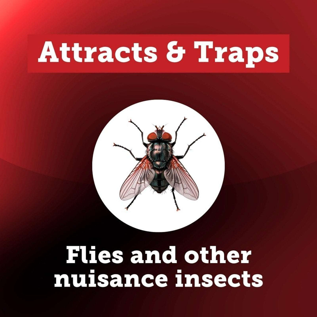 Starbar EZ Fly Stik Odorless Sticky Fly Trap 2-Pack Indoor & Outdoor w/ Hanger