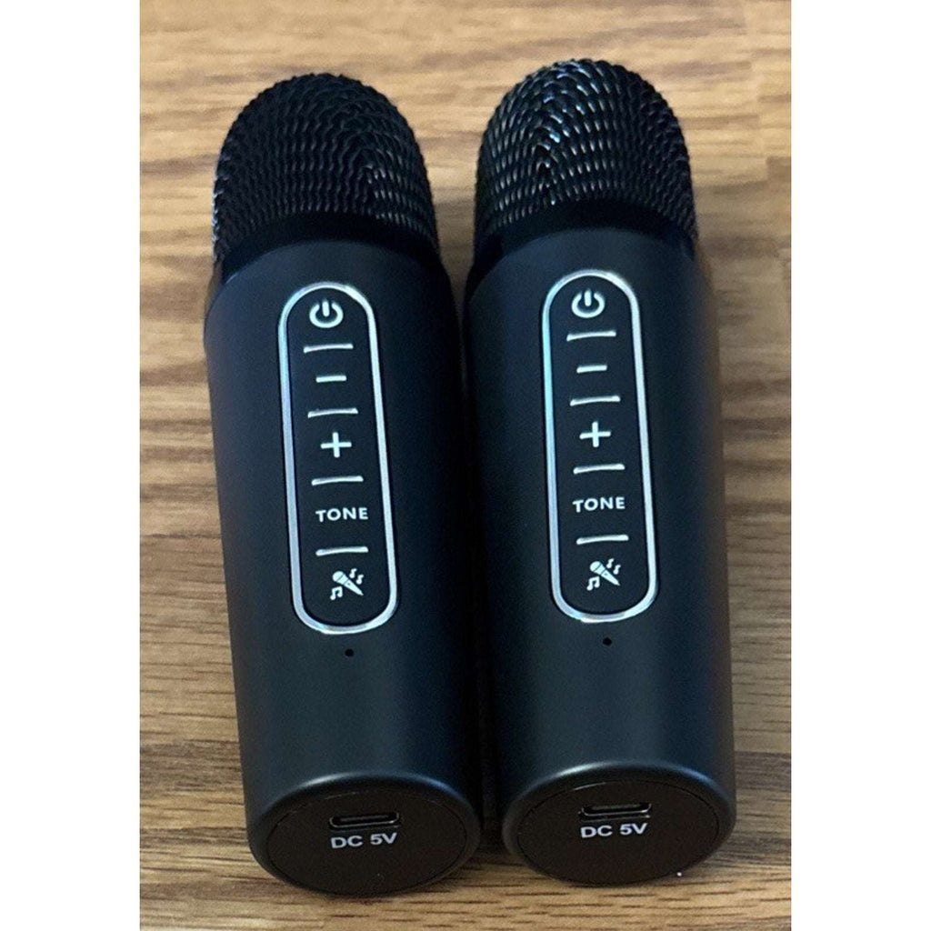 Karaoke Machine, Portable Bluetooth Speaker, PA System w/ 2 Wireless Microphones
