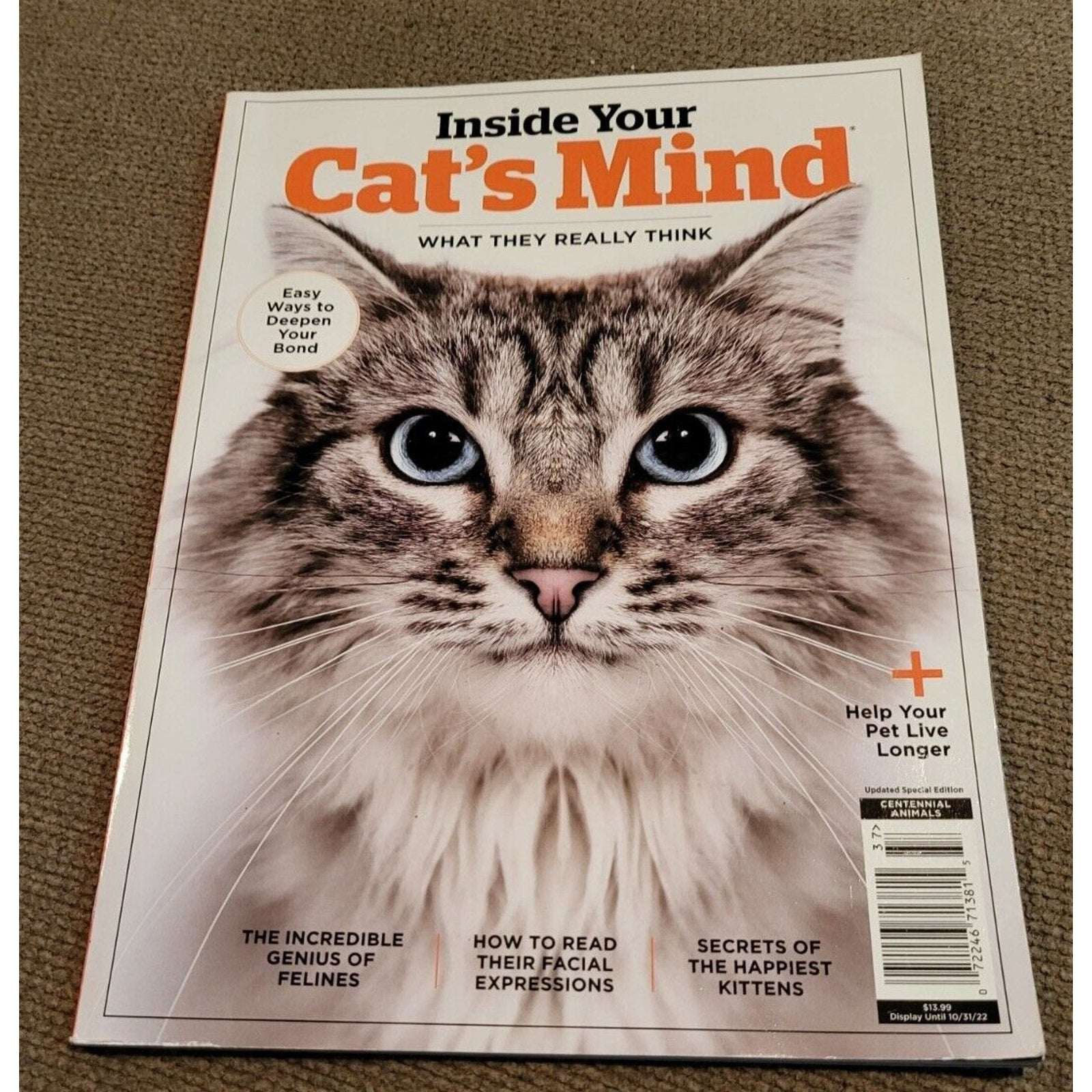 Inside Your Cat's Mind What They Really Think - Help Your Pet Live Longer