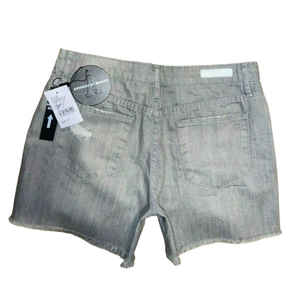 ARTICLES OF SOCIETY Meredith in Nova Sz 27 High Rise Vintage Shorts NEW!
