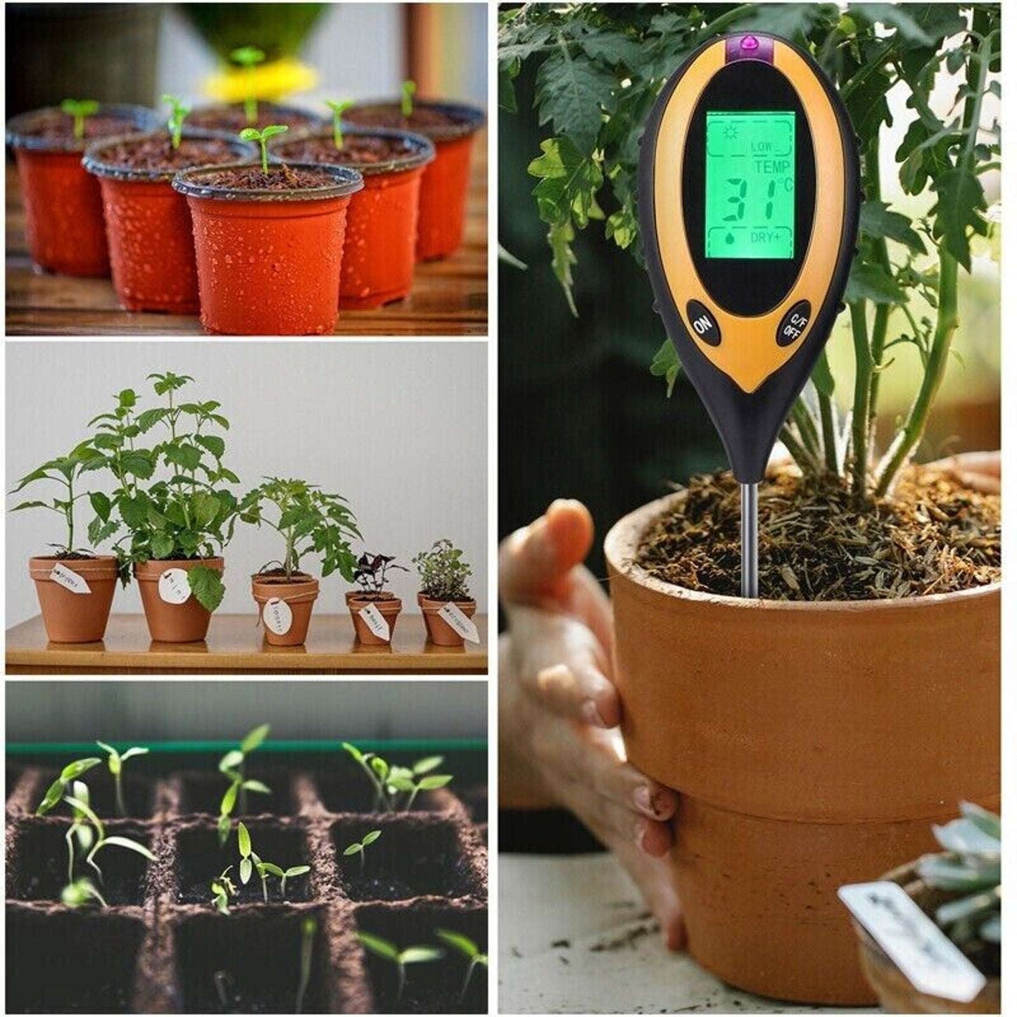 4-in-1 Soil Tester Meter Garden Lawn Plant Moisture/Light/Ph/Temp Sensor Tool