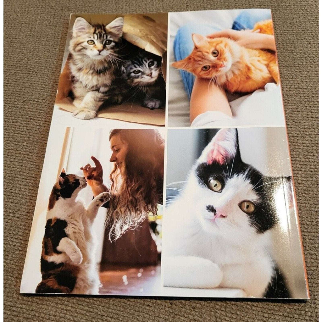 Inside Your Cat's Mind What They Really Think - Help Your Pet Live Longer