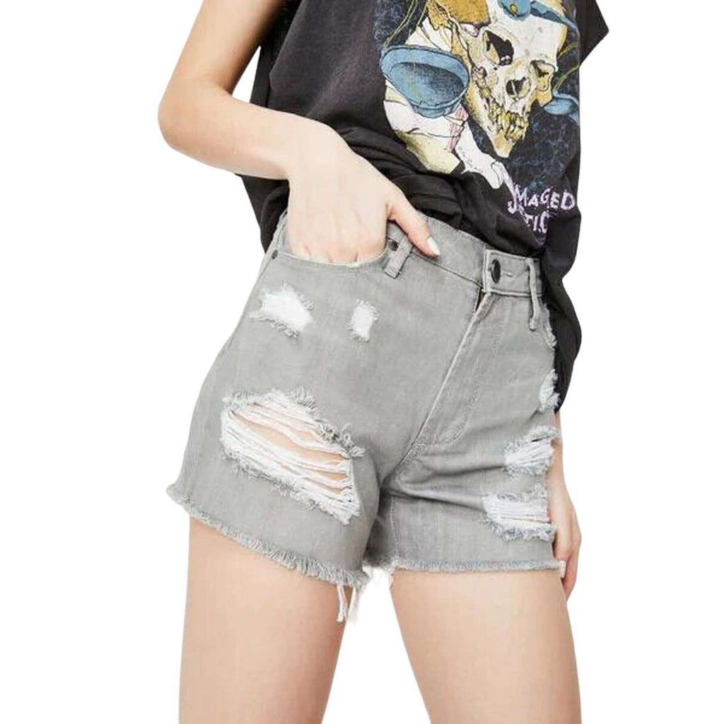 ARTICLES OF SOCIETY Meredith in Nova Sz 27 High Rise Vintage Shorts NEW!