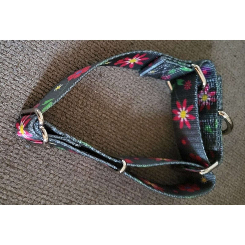 Dazzber 1" Wide Martingale Dog Collar - GraphiteFlower Collar Medium 14" to 21"