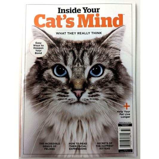 Inside Your Cat's Mind What They Really Think - Help Your Pet Live Longer