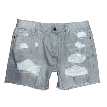 ARTICLES OF SOCIETY Meredith in Nova Sz 27 High Rise Vintage Shorts NEW!