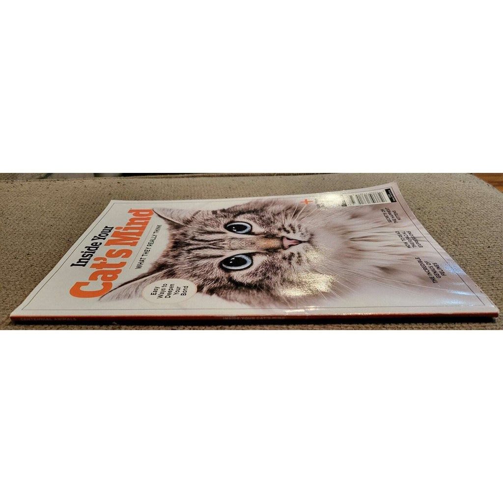 Inside Your Cat's Mind What They Really Think - Help Your Pet Live Longer