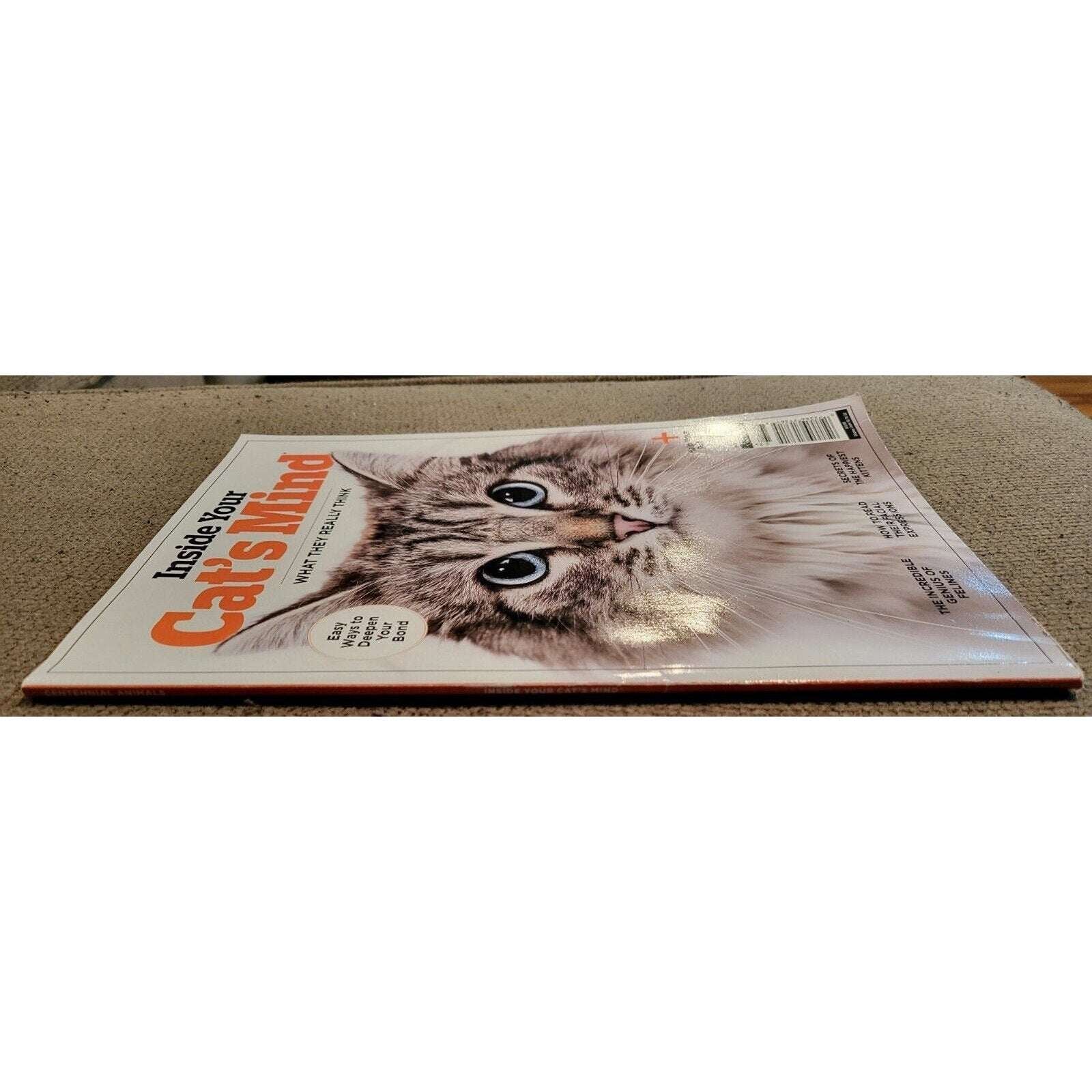 Inside Your Cat's Mind What They Really Think - Help Your Pet Live Longer