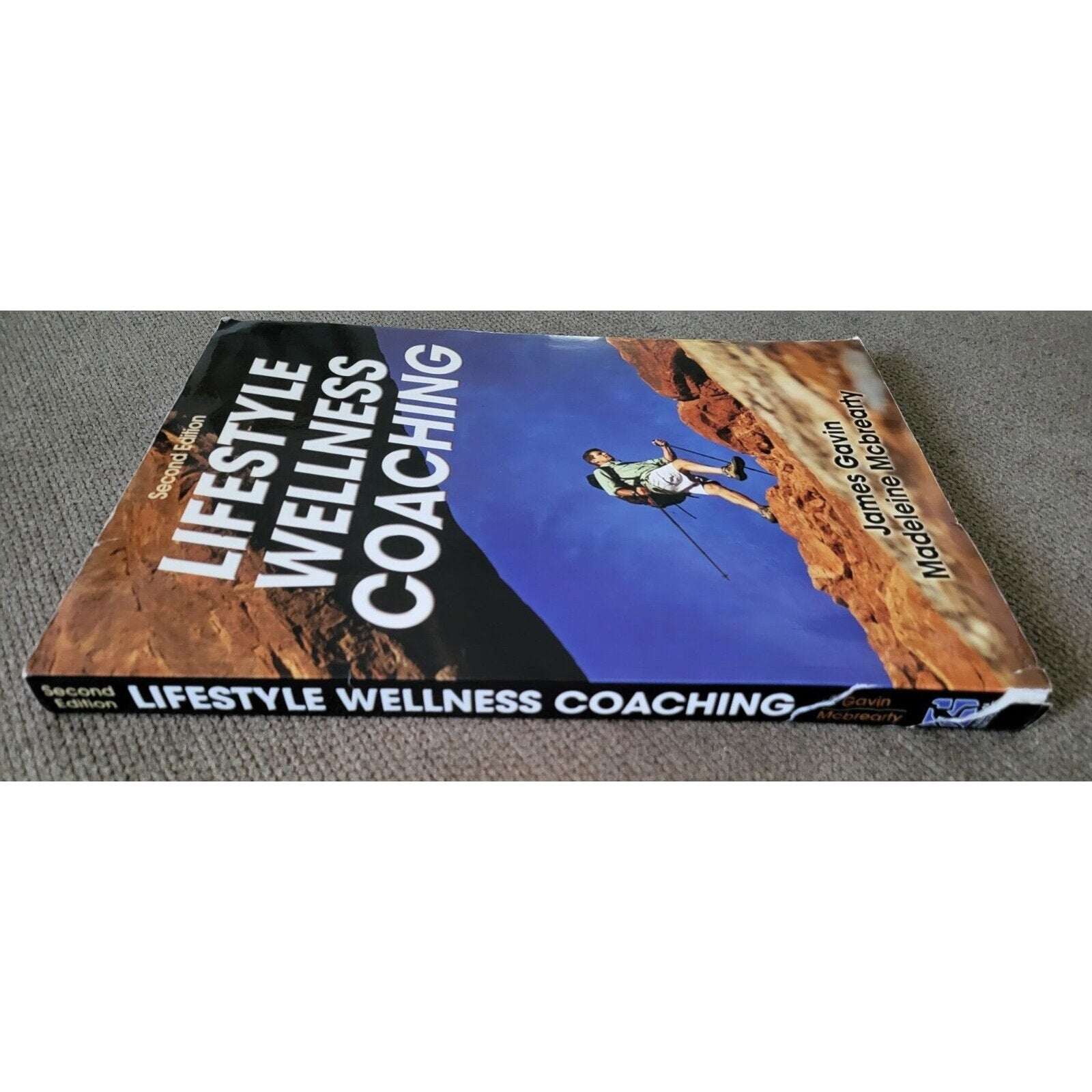 Lifestyle Wellness Coaching by Madeleine Mcbrearty and James Gavin (2013, Trade